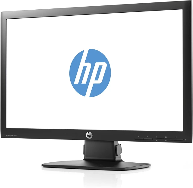 HP ProDisplay P221